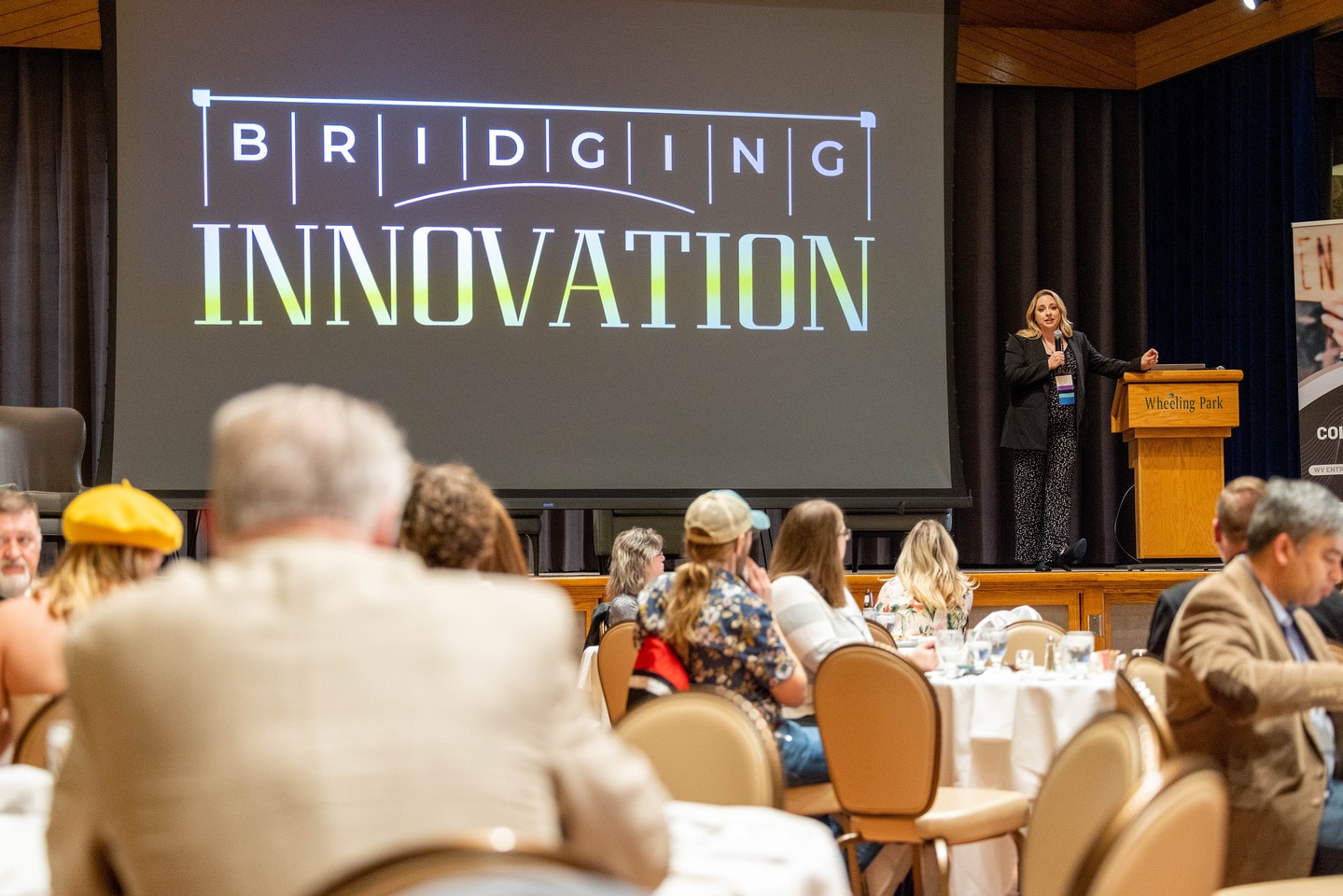 Bridging Innovation